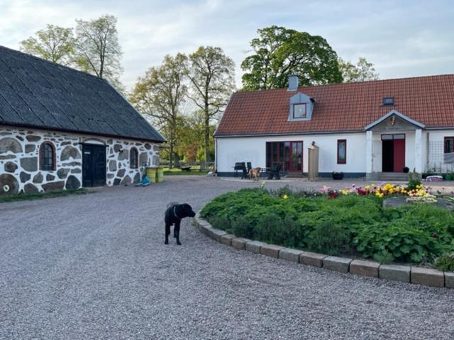 Apartmán Ormanasgarden Höör Exteriér fotografie