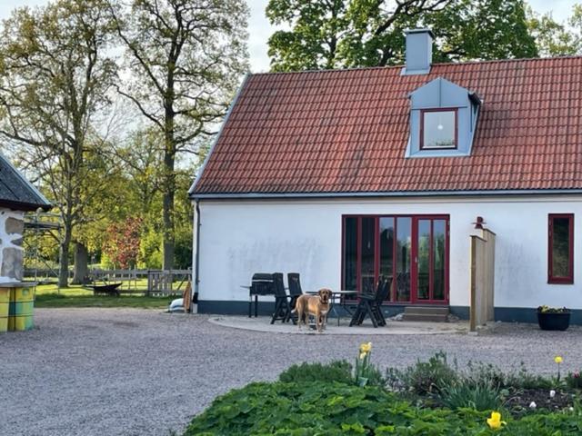 Apartmán Ormanasgarden Höör Exteriér fotografie